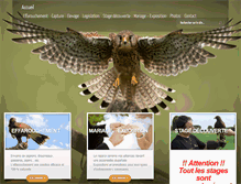 Tablet Screenshot of fauconneriedunord.com